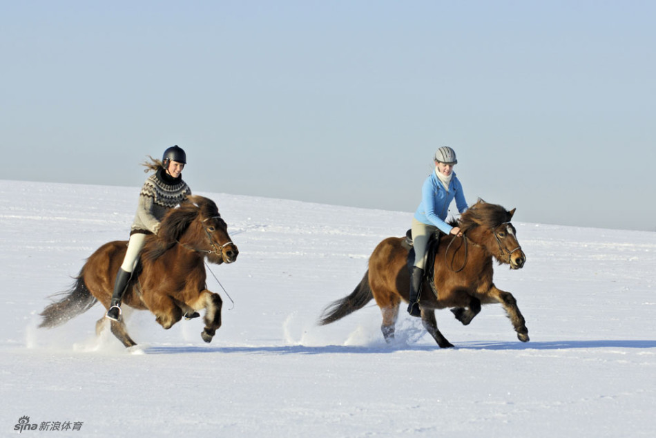 雪地骑马夏日的一抹清凉_高清图集_新浪网