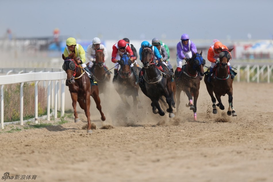 直击莱德赛马精彩瞬间_高清图集_新浪网