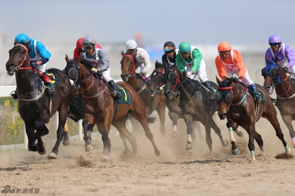直击莱德赛马精彩瞬间_高清图集_新浪网