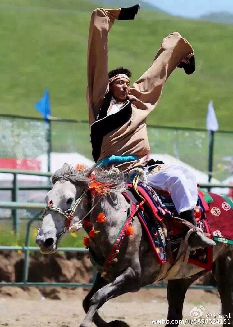 藏族高难度马术盛宴_高清图集_新浪网