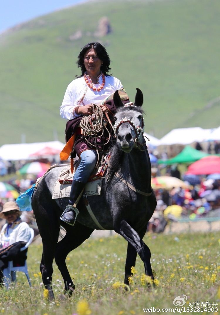 藏族高难度马术盛宴_高清图集_新浪网