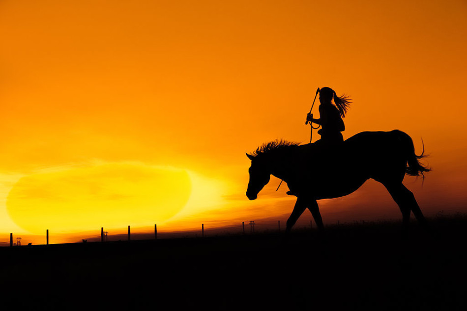 马背女骑士展现力与美_高清图集_新浪网