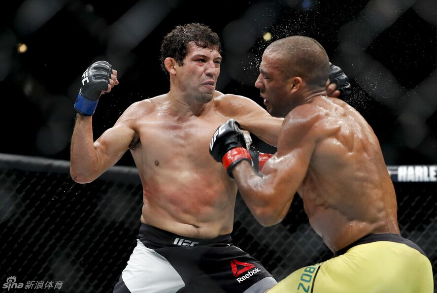 ufc on fox 20霍尔姆遭重击_高清图集_新浪网