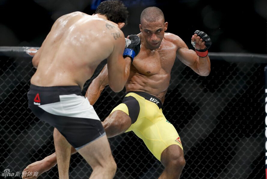 ufc on fox 20霍尔姆遭重击_高清图集_新浪网