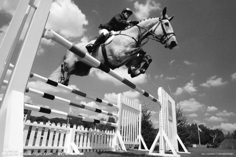 黑白色调展现人马俊逸身姿_高清图集_新浪网