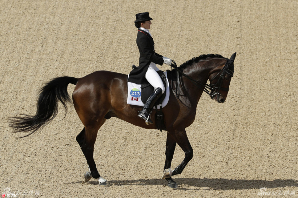 马术盛装舞步奥运健儿展英姿_高清图集_新浪网
