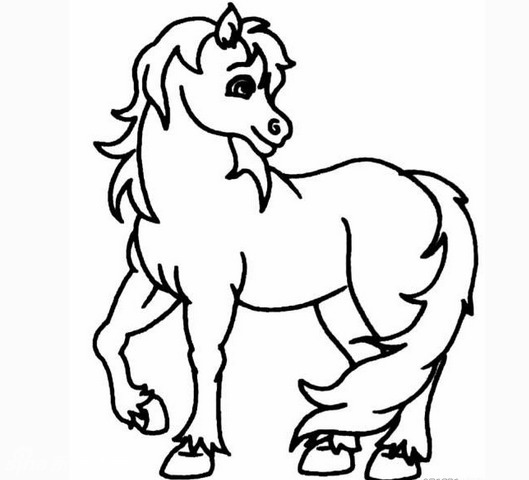 简单线条勾勒出栩栩如生的马_高清图集_新浪网