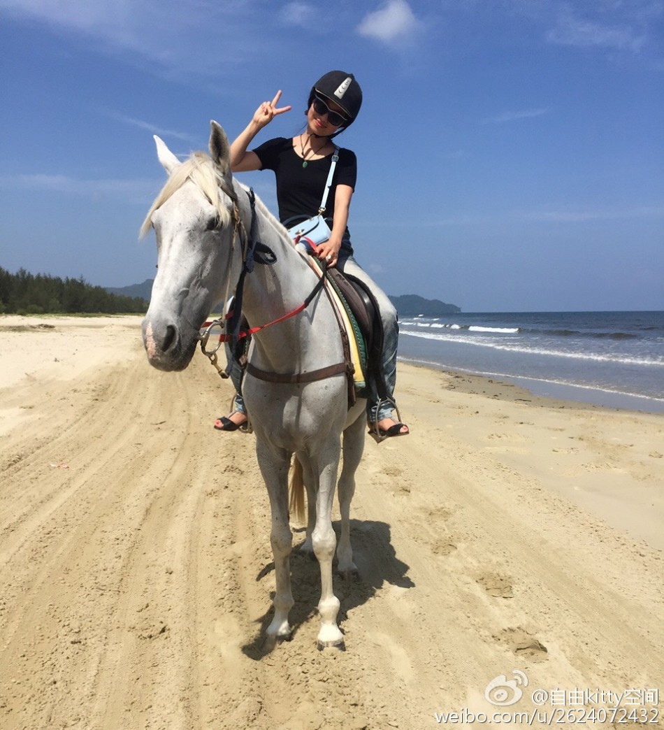 海边骑马散步享惬意人生_高清图集_新浪网