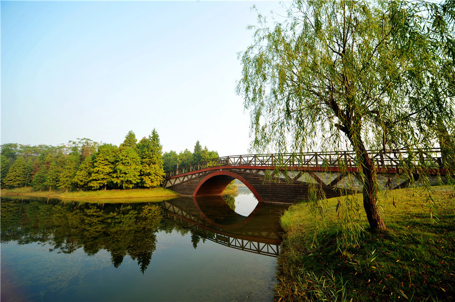 上海海湾国家森林公园美景