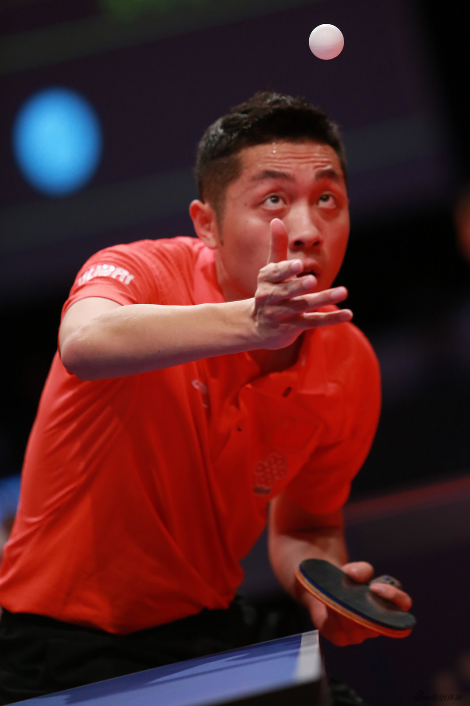 男乒世界杯次日精彩集锦_高清图集_新浪网