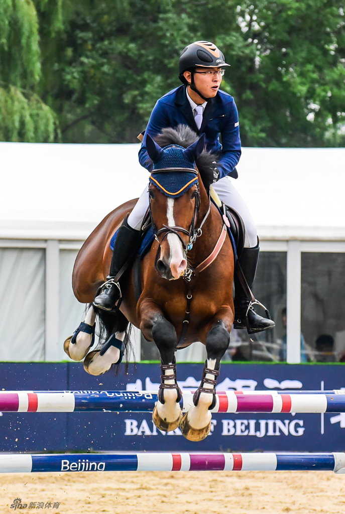 摄影师镜头下马术大片_高清图集_新浪网