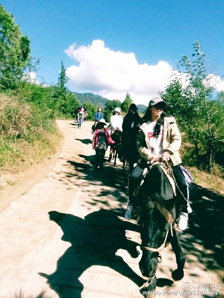 美女骑马游拉市茶马古道_高清图集_新浪网