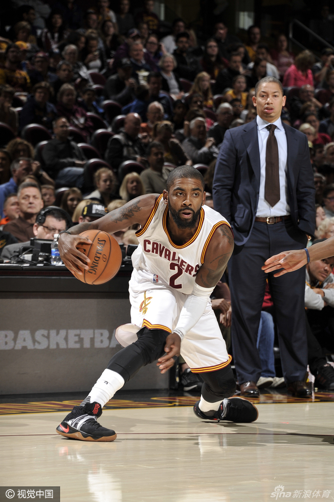 骑士末节擒黄蜂