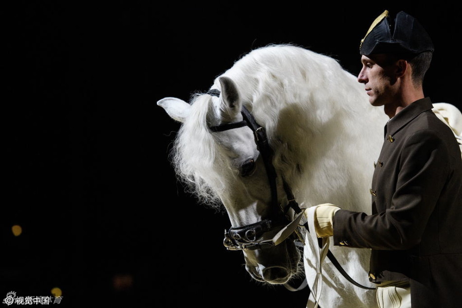 伦敦sse舞台上演白马腾空_高清图集_新浪网