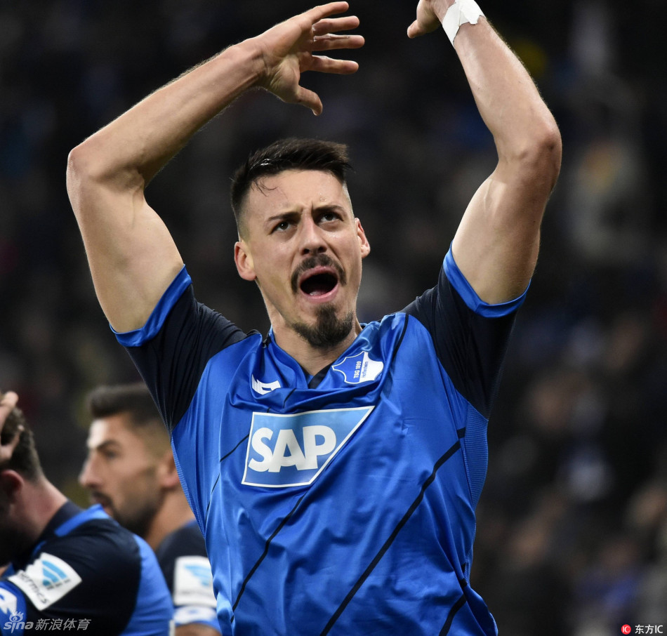 [德甲]霍芬海姆2-2多特蒙德