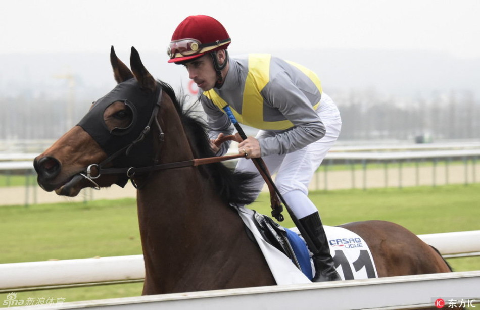 2016诺曼底世界马术大会赛况_高清图集_新浪网