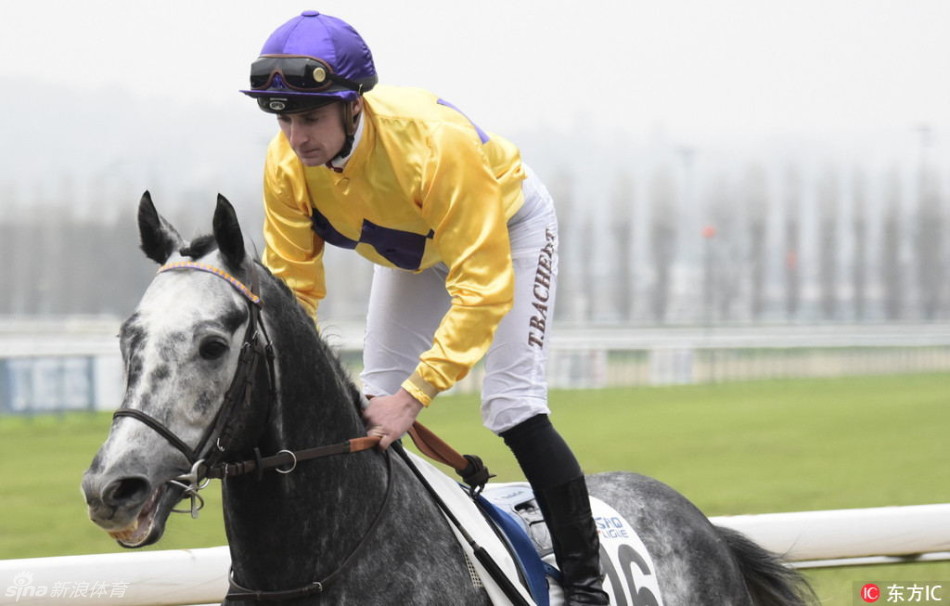 2016诺曼底世界马术大会赛况_高清图集_新浪网