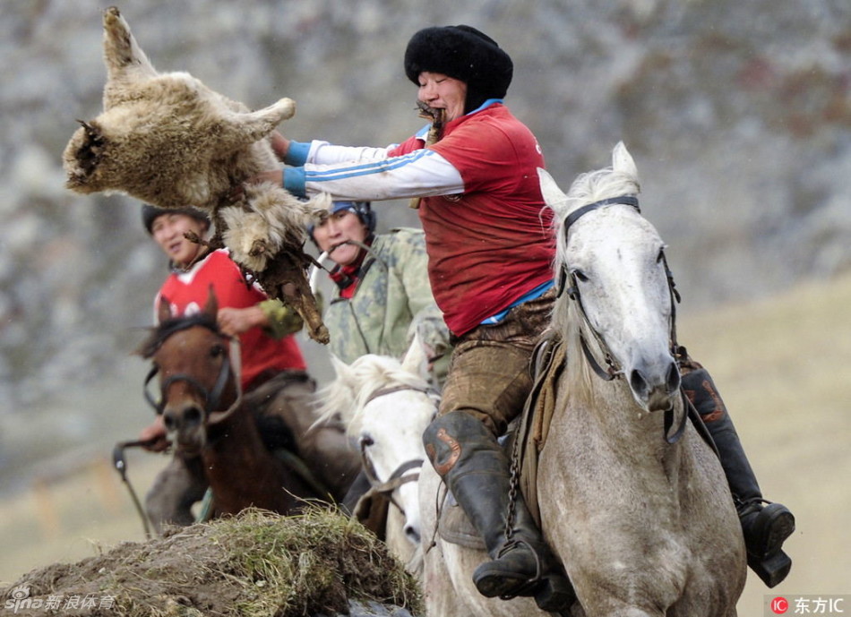 战斗民族上演马背捉羊大赛_高清图集_新浪网