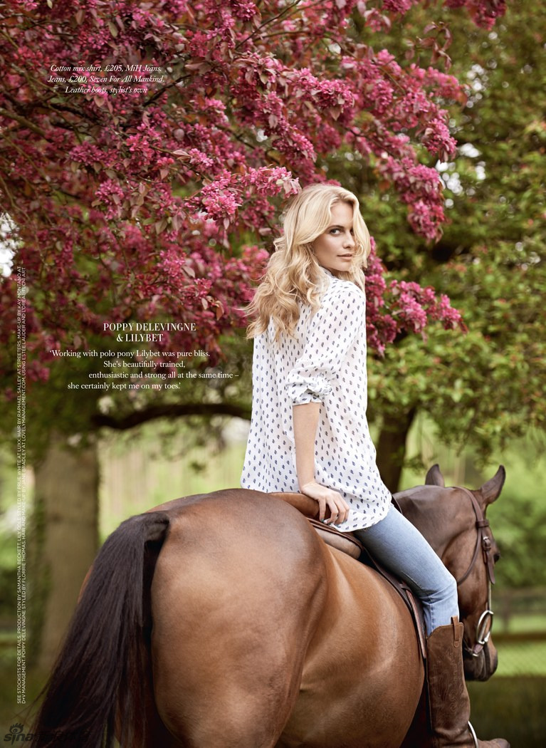 美女牵马漫步海边显绝美风姿_高清图集_新浪网