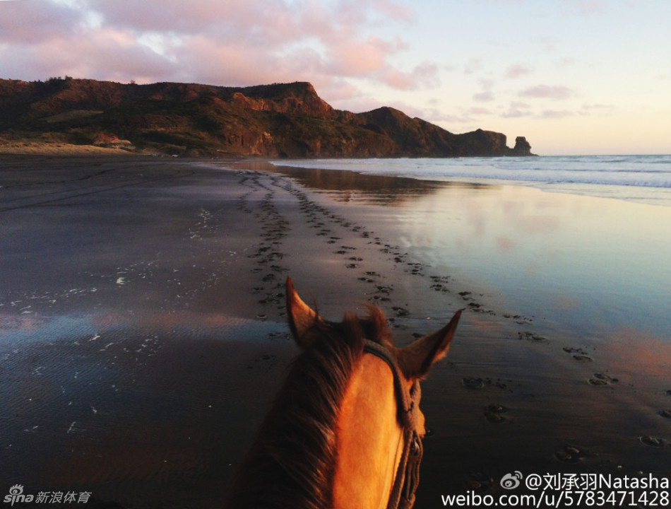 混血美人牵马前行自带江湖风_高清图集_新浪网