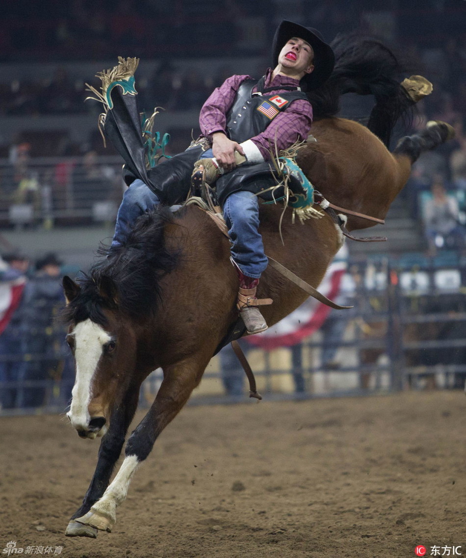 狂野女郎不甘落后牛马齐上阵_高清图集_新浪网
