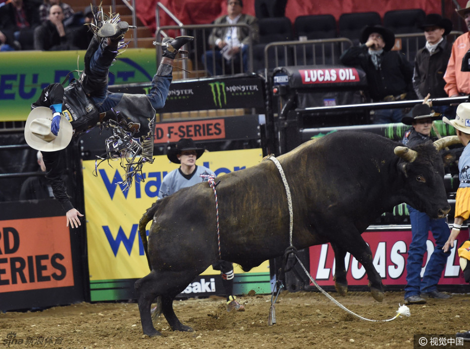 骑牛大赛惊险刺激画面爆裂_高清图集_新浪网