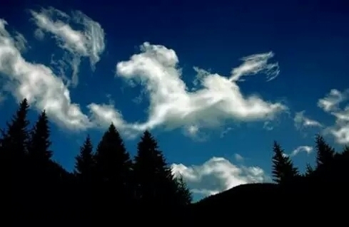 神奇!云彩变幻演绎天堂马儿_高清图集_新浪网