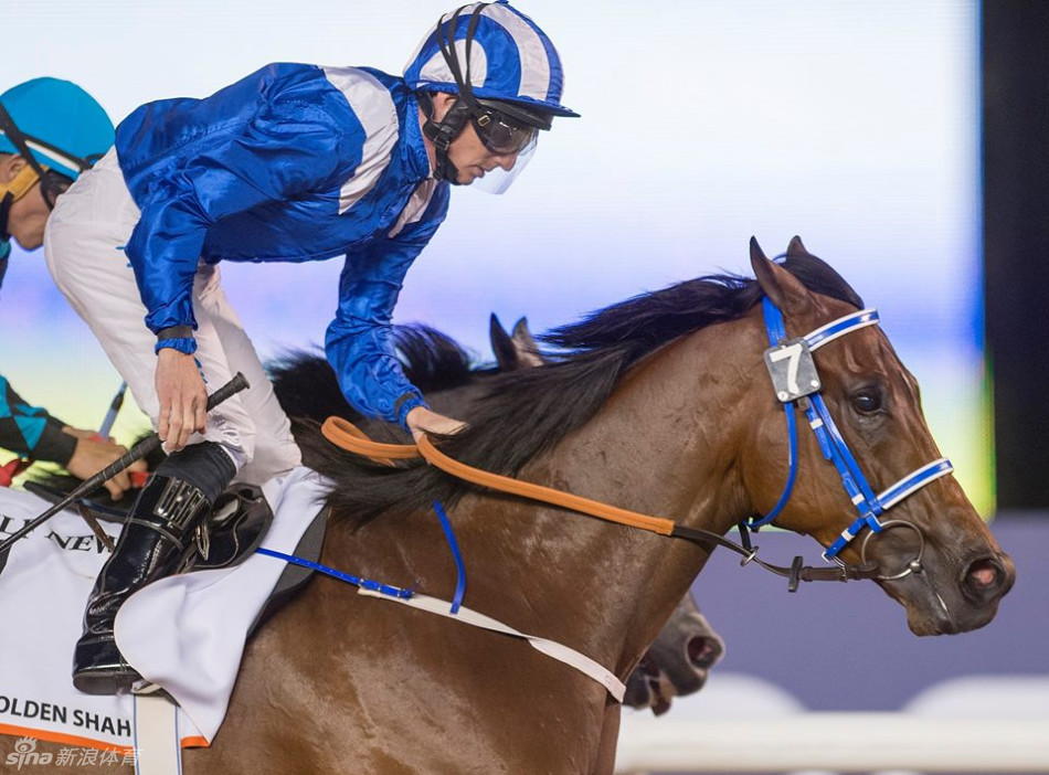 2017迪拜赛马世界杯现场直击_高清图集_新浪网