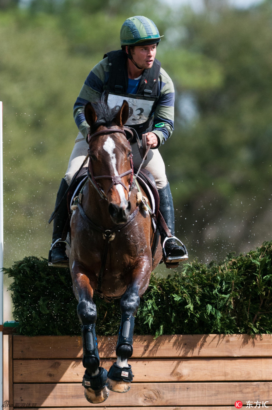 美国马术越野赛的精彩瞬间_高清图集_新浪网
