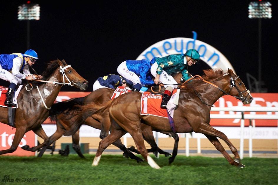 2017迪拜赛马世界杯现场直击_高清图集_新浪网