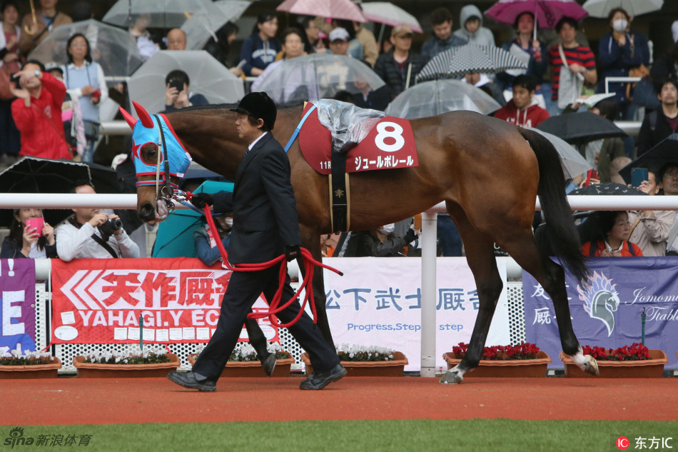 日本樱花赏赛马上演粉色诱惑