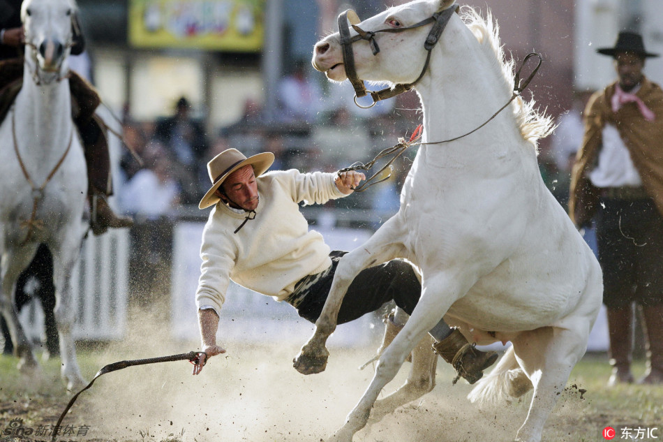 激烈!南美牛仔大赛人仰马翻_高清图集_新浪网