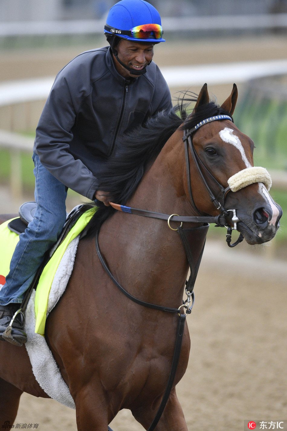 肯塔基德比赛前 马儿撒欢跑
