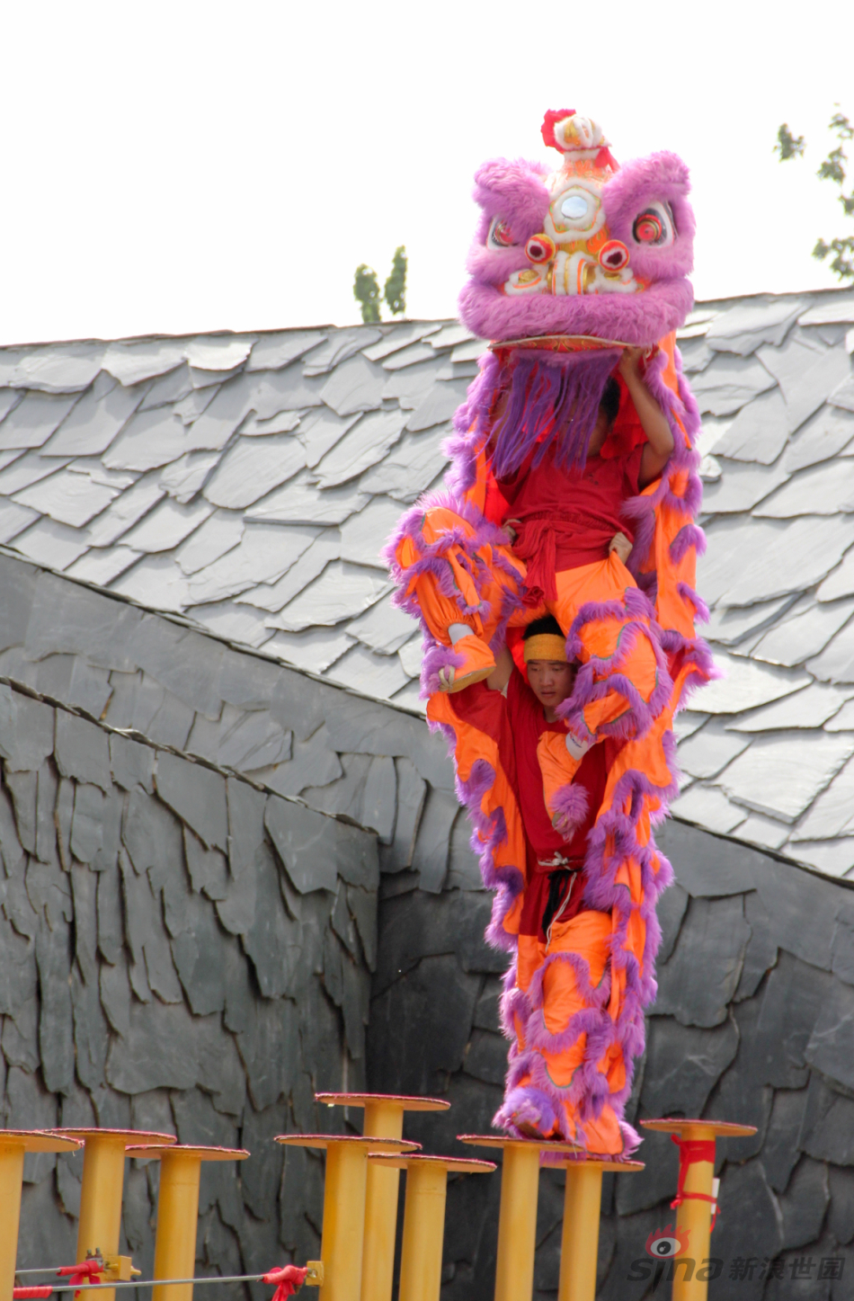 南狮梅花桩(刘宇摄)