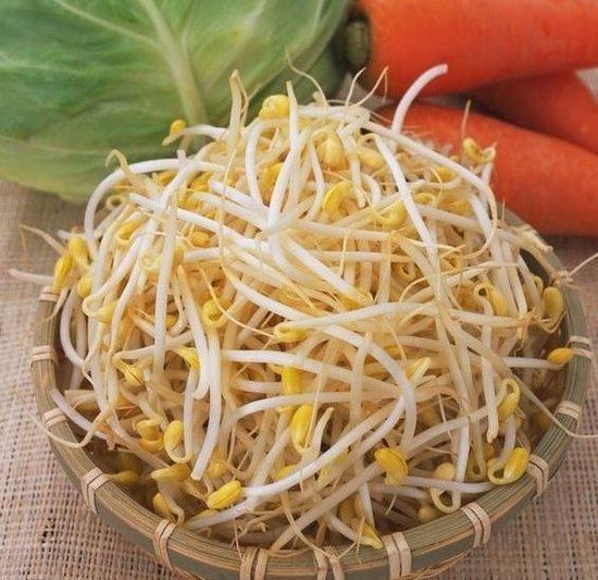 直击"毒豆芽"生产黑幕