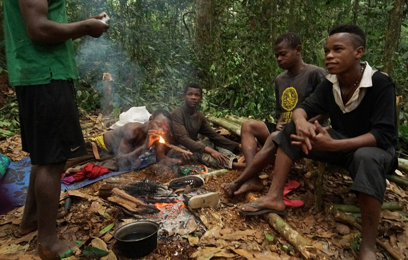 全屏观看 12 / 16 据悉,侏儒部落里的人通常被称作"巴卡人"(baka)