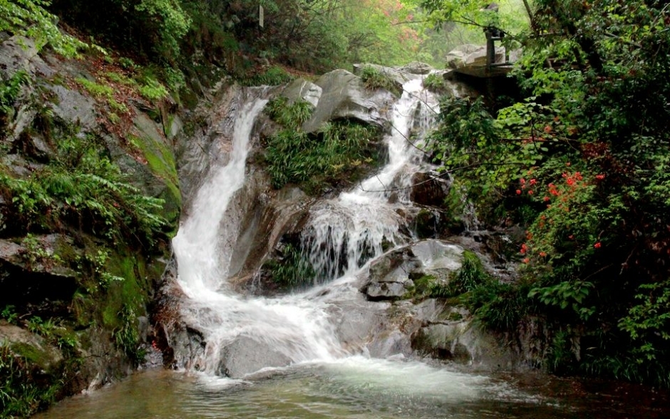 大别山中的桃花源 英山"十里桃花溪"