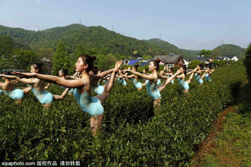 重生之女将星（周也丞磊主演电视剧锦月如歌原著）