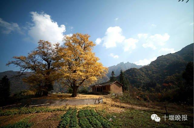 揭秘武当山最萌盟主父亲 他才是活得最赚的男人