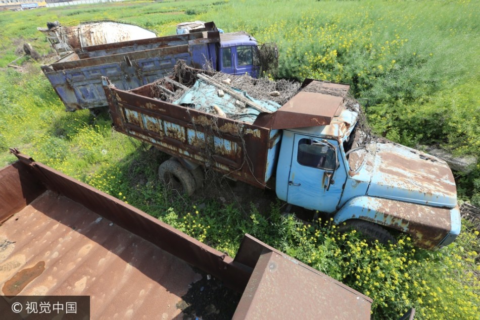 襄阳菜地现大量僵尸车无人认领难倒菜农