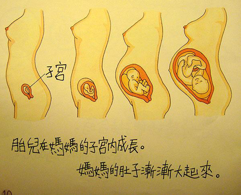 最直白性教育绘本,你敢给孩子看吗