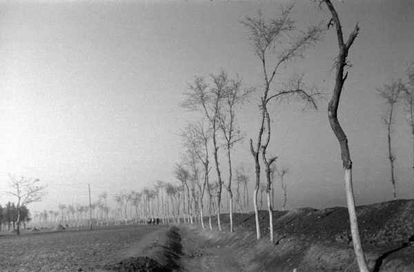 1942年河南大饥荒真实场景