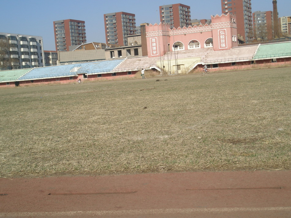 汉卿体育场昔日照