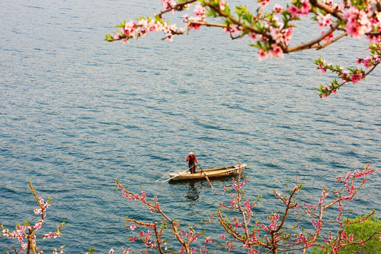 在那桃花盛开的地方 丹东河口 醉美鸭绿江之春_高清图集_新浪网