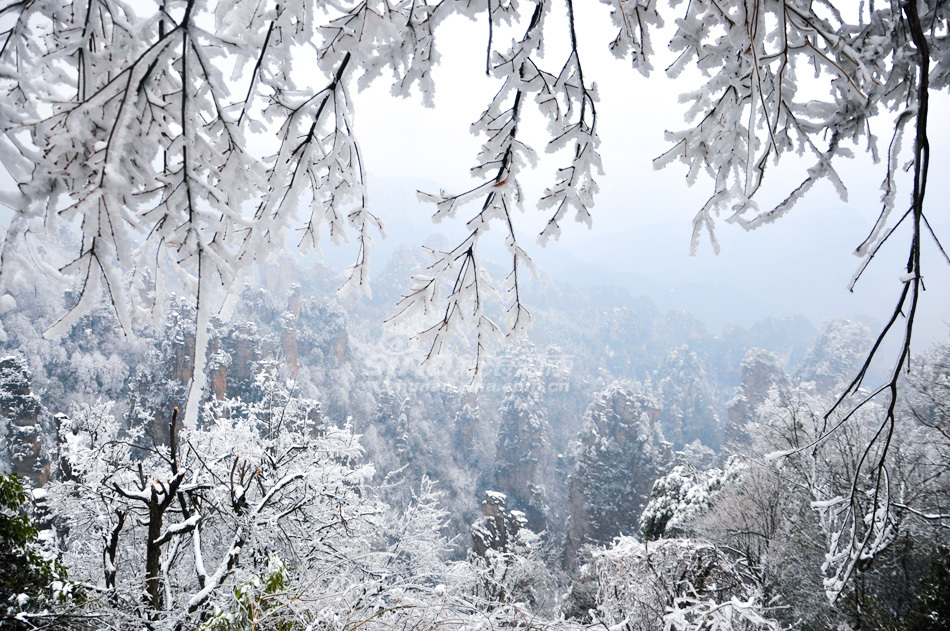 武陵源春雪风光