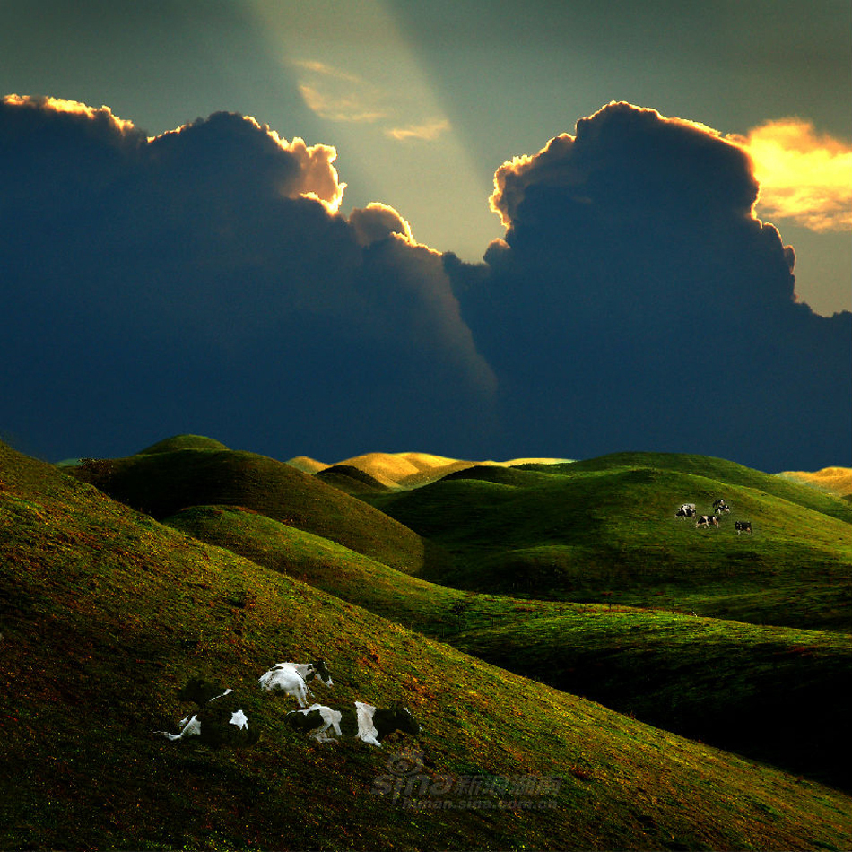 大美城步之风光篇:南山牧场美景如画
