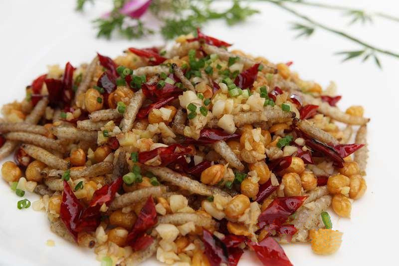 湘西现虫子烹饪大赛 众人吃水蜈蚣竹虫