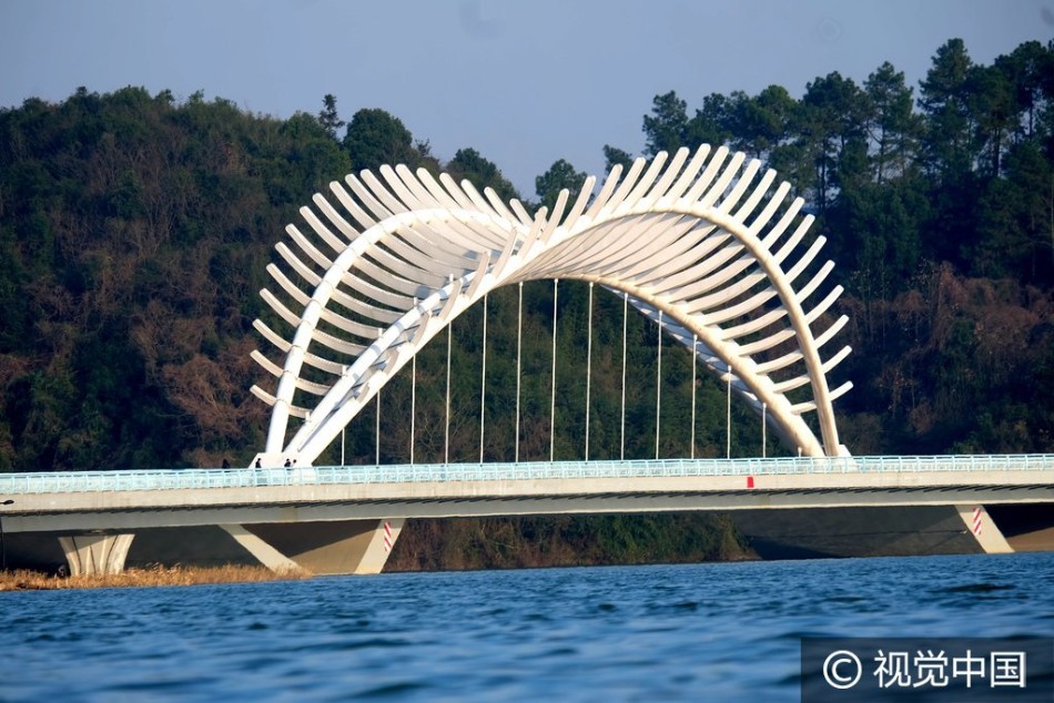 湖南常德现龙骨甲形状景观桥