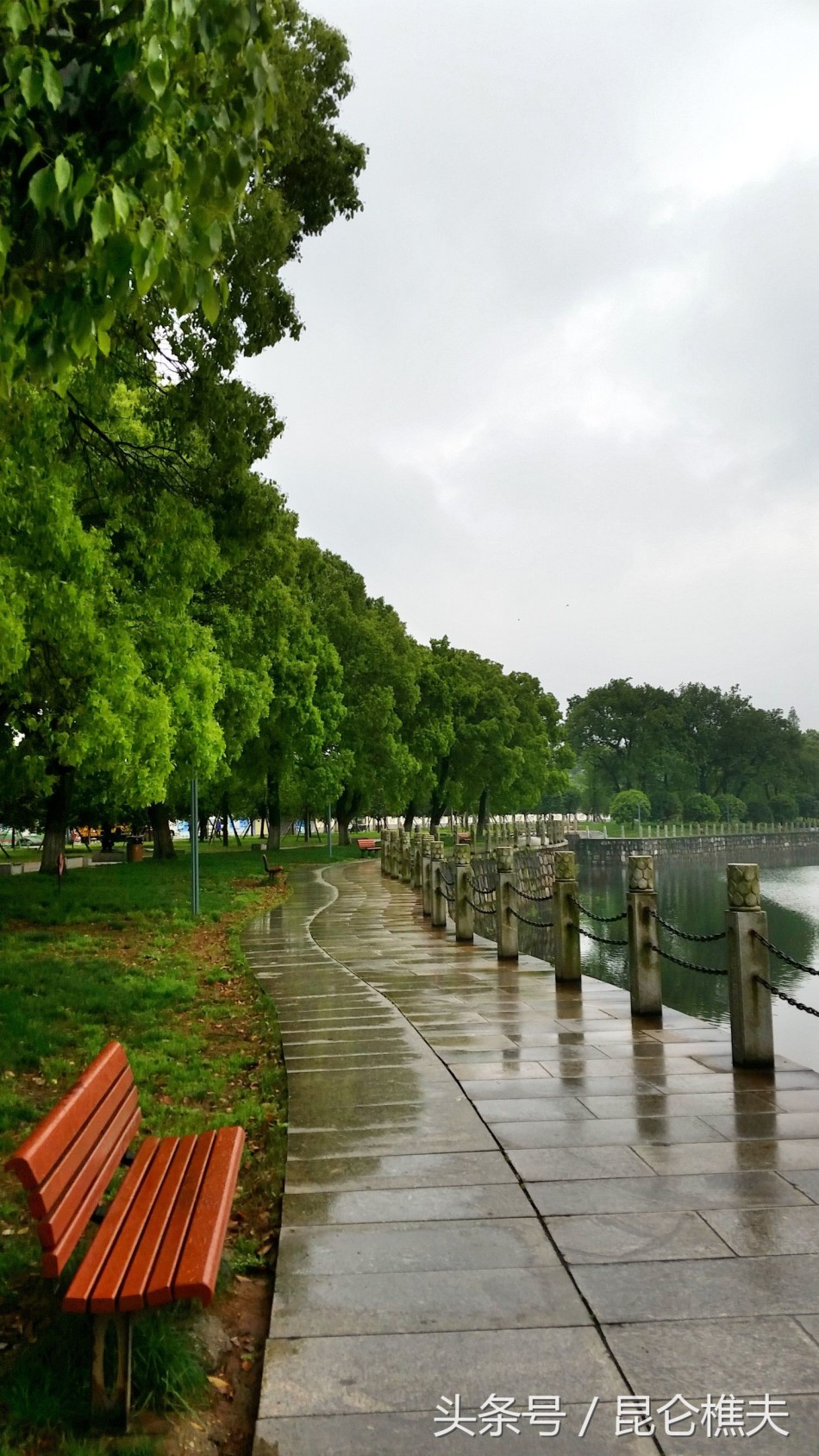 长沙最大城市公园 雨后别有一番景致