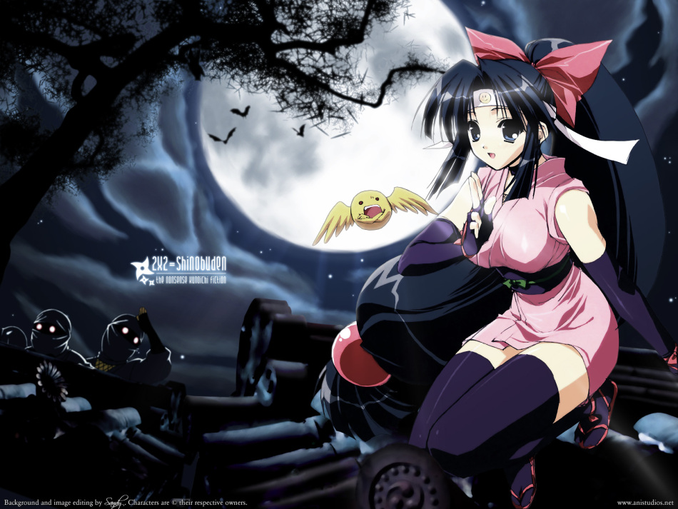 黑丝短裙大秀美腿,二次元性感女忍者美图_高清图集_新浪网